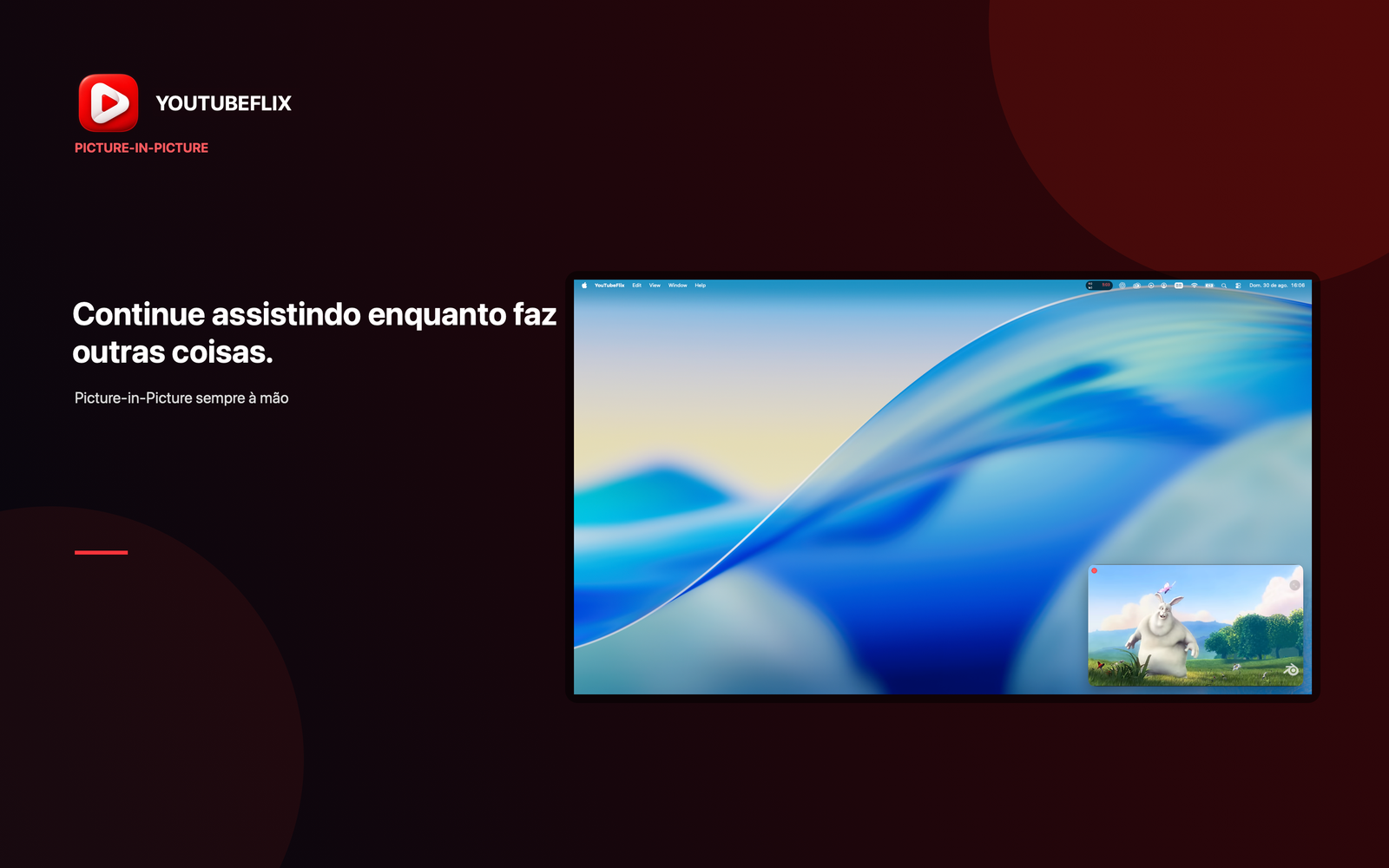 Janela Picture-in-Picture do YouTubeFlix